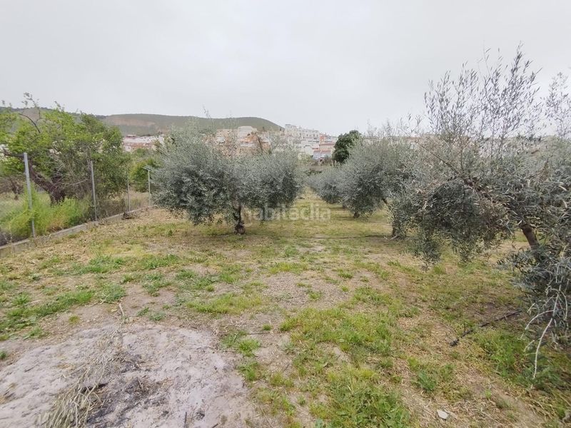 Foto b0ecfaa1-24a8-412f-8890-a95a604fe22c. Landgut in Cenes de la Vega