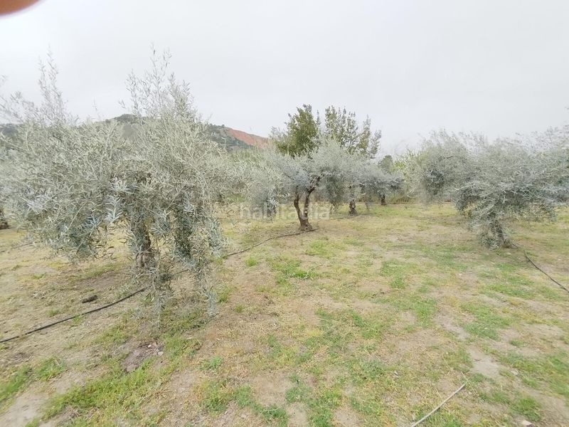 Foto b8b5ca9b-eb45-44e6-876d-ac5efe147285. Landgut in Cenes de la Vega