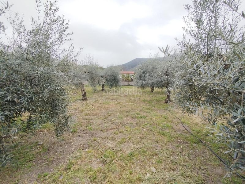 Foto d1c570f1-e63a-4446-8a98-f2e051a292f7. Landgut in Cenes de la Vega