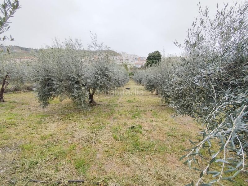 Foto d7b54513-0fd8-4053-a0f6-5775cd09b28d. Landgut in Cenes de la Vega