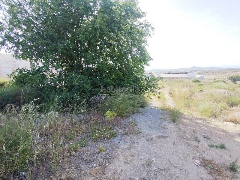 Foto 4f853bbc-b13b-42ba-9bc2-d66d2281dfbe. Terreny residencial a Dílar
