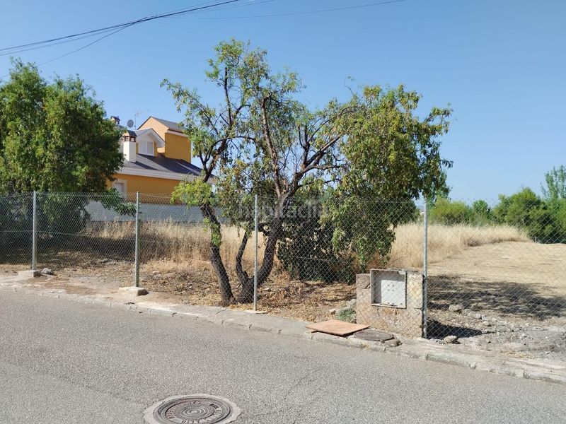 Foto e0fd7bb2-c799-4787-8b51-b9c39ab1cd12. Residential plot in Villa de Otura