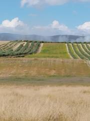 Propriété  Camino polígono 7 parcela 22 cañada esparragal. villa d