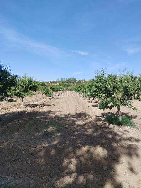 Foto 0a33a4a6-4431-441e-adf3-06c6ba2d5d86. Fondo rustico in Urbanizaciones Alhendín