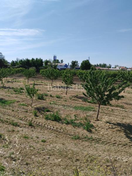 Foto 33507b3f-5619-4146-a3b3-ee29b309c7b2. Fondo rustico in Urbanizaciones Alhendín