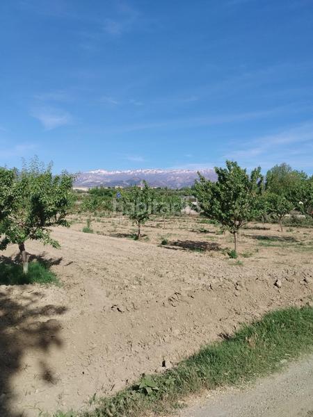 Foto 748ac131-6c54-4f81-9368-88ed7f2c2f81. Fondo rustico in Urbanizaciones Alhendín