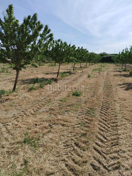 Foto d21a89ad-041d-47fd-9deb-682ed0e9d9ec. Fondo rustico in Urbanizaciones Alhendín