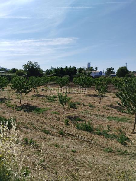 Foto 31e45ff9-f67d-4076-b50b-903a190423f4. Rural plot in Urbanizaciones Alhendín