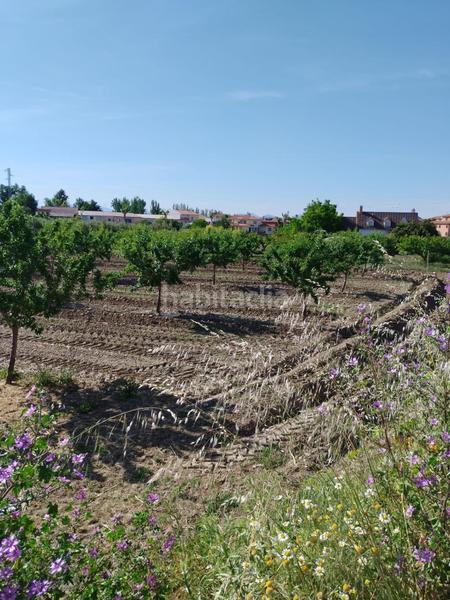 Foto 5f3da971-71b1-4ce3-be7d-4af62ce13894. Rural plot in Urbanizaciones Alhendín