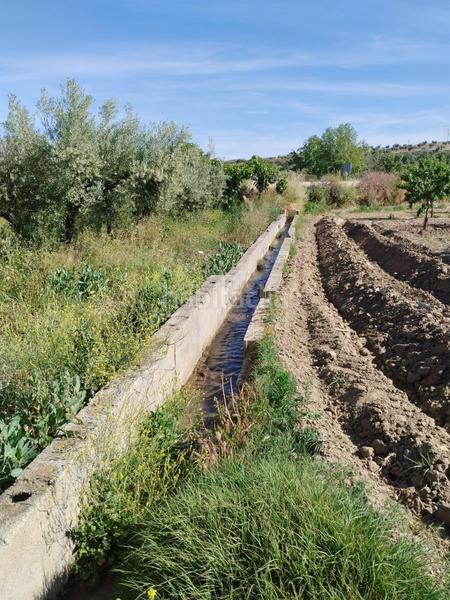 Foto aefdf18f-b72c-411c-b2d3-0f224a6dd85a. Rural plot in Urbanizaciones Alhendín