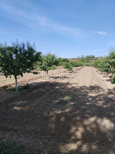 Foto b2dcc783-aa09-4a2a-88a1-72bd5a2231a1. Rural plot in Urbanizaciones Alhendín