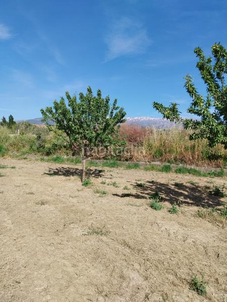 Foto ebb0a3e1-5a34-4e88-a922-ad66d9b0a16c. Rural plot in Urbanizaciones Alhendín