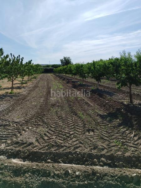 Foto f68fe7b2-a53f-4208-b525-ea977815e911. Rural plot in Urbanizaciones Alhendín