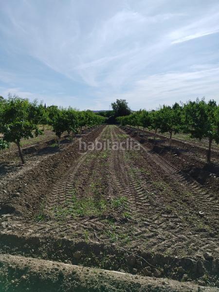 Foto 5022ac33-d41d-4faa-bcbc-aca78566df46. Finca rústica a Urbanizaciones Alhendín