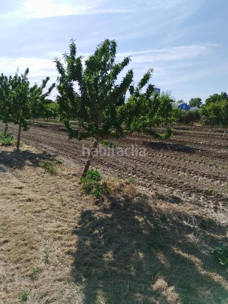 Foto 8e210d42-4438-421c-9f3c-7d8c71cb3d35. Finca rústica a Urbanizaciones Alhendín