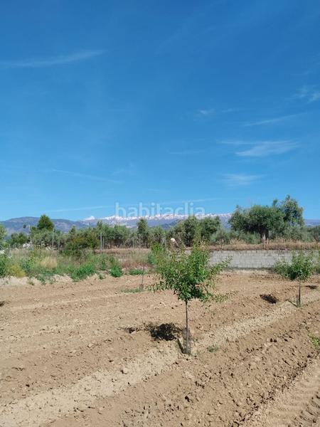 Foto 0acd2b49-ef39-4f1b-8e39-ee9f7d63e96a. Rural plot in Villa de Otura