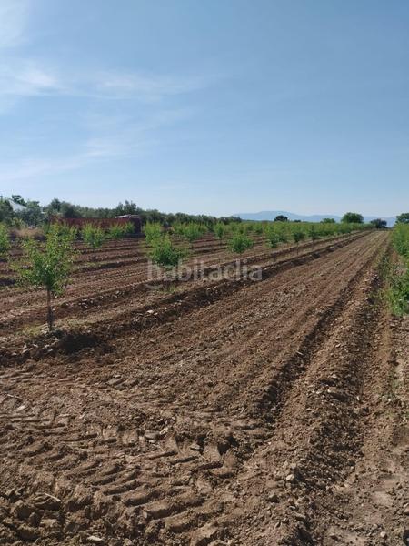 Foto 1ad75f8a-2ddf-4acd-8fed-c168d58ce05e. Rural plot in Villa de Otura