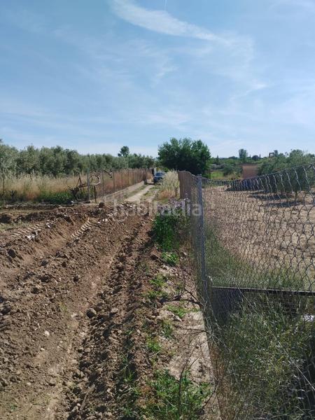 Foto 1c586238-b2b1-4912-adb0-c95b8e558089. Rural plot in Villa de Otura