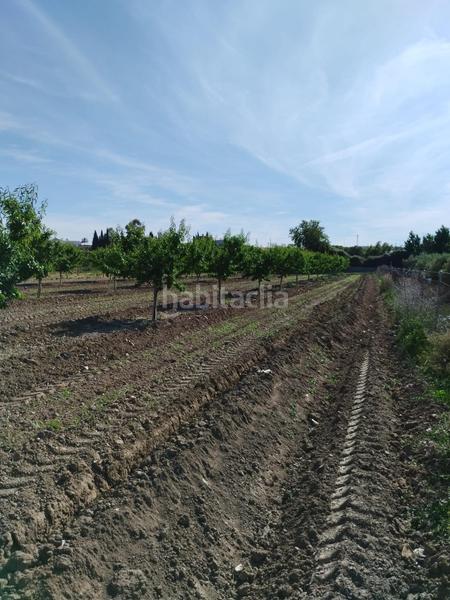 Foto 2a12eba9-8bc2-4406-a132-5f77c8128eff. Rural plot in Villa de Otura