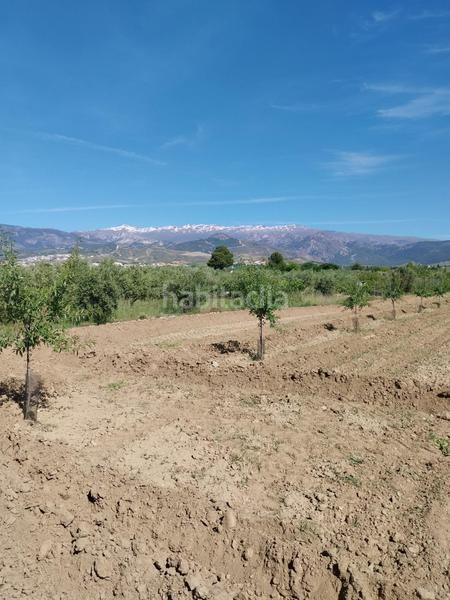 Foto 2d7b140d-cfcb-4868-9d93-7dd0bf46dd02. Rural plot in Villa de Otura