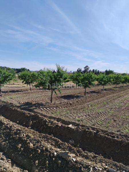 Foto 34c616cd-8a90-4f11-8fec-3a7eb26936a6. Rural plot in Villa de Otura