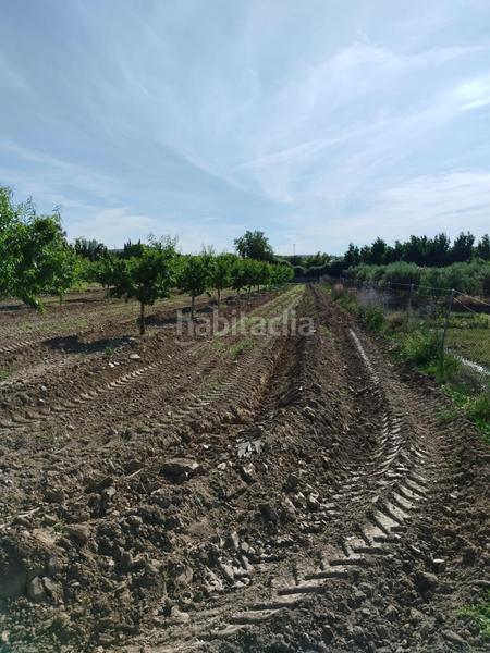 Foto 3d279cc7-8c6a-4e6e-9d25-b1481d67c13e. Rural plot in Villa de Otura