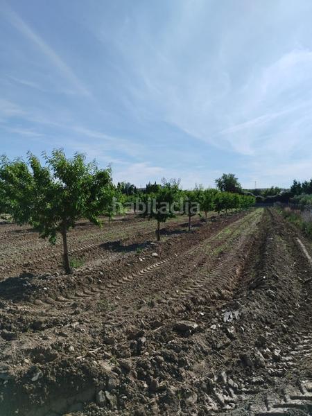 Foto 7adecfda-8805-48cb-8a55-538319c0f6d7. Rural plot in Villa de Otura