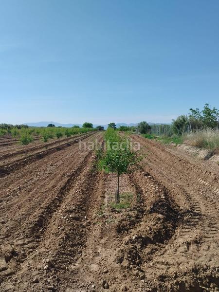 Foto 812dc691-3637-4277-83f6-5b9a0add748b. Rural plot in Villa de Otura