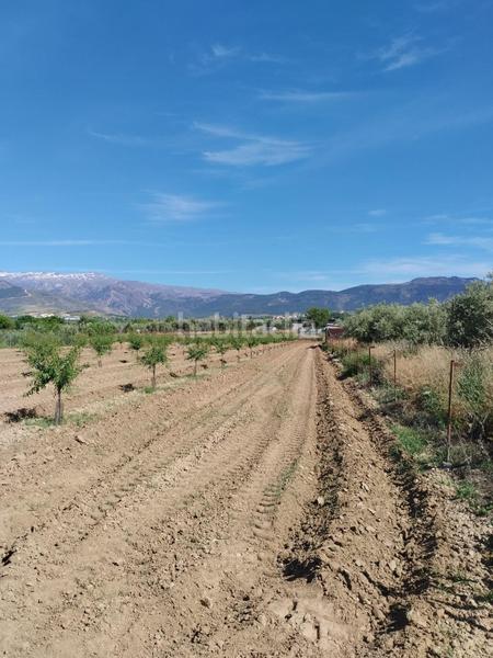 Foto 947f754f-e99c-4618-a150-00840c4b0b74. Rural plot in Villa de Otura