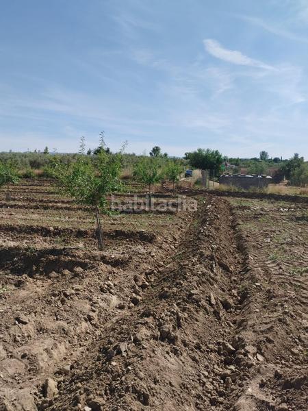 Foto 9da964a3-add1-4906-8035-c3b0fdfbfcea. Rural plot in Villa de Otura