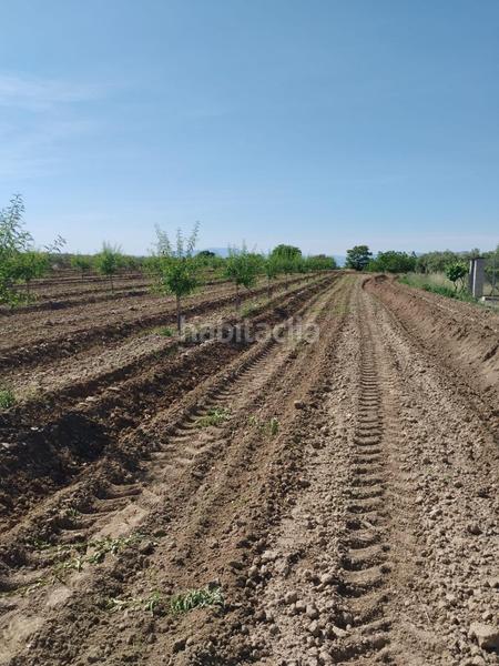 Foto a9d2352f-a84b-4635-9fe5-152dbd0d2759. Rural plot in Villa de Otura