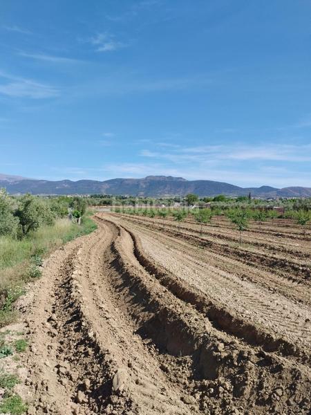 Foto b425856a-c105-491c-8368-047034895862. Rural plot in Villa de Otura