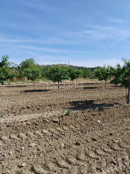 Foto e3e4623f-c3a9-4d06-8bd7-05ac3596de0f. Rural plot in Villa de Otura