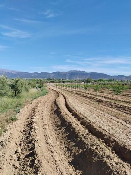 Foto e656ab92-ec52-4234-b9c1-7532269bde2d. Rural plot in Villa de Otura