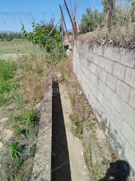 Foto ff95c6d7-5c09-42b4-943a-8f0ebf82b59b. Rural plot in Villa de Otura