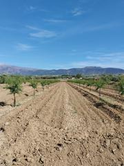 Finca rústica a Otura