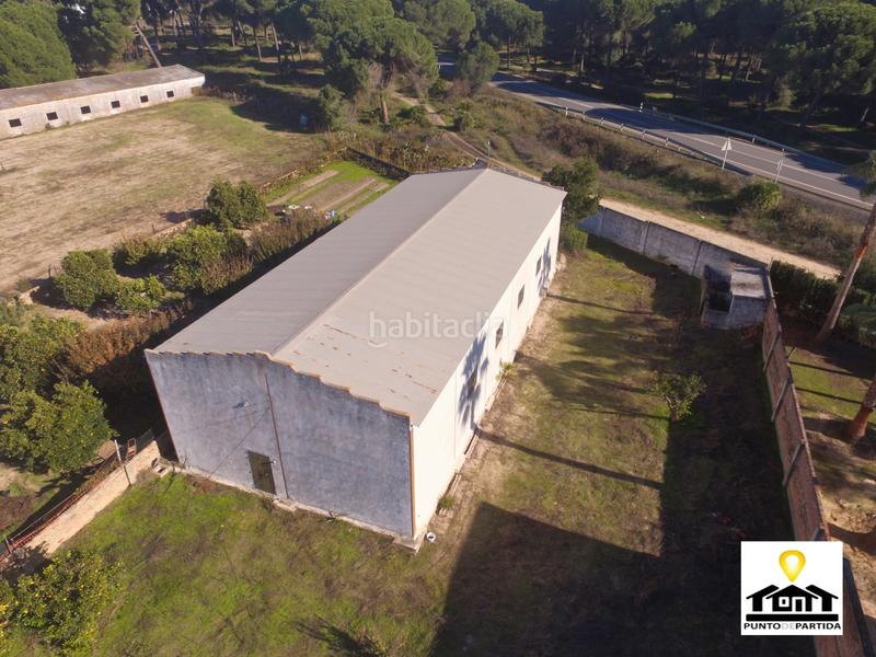 Foto 30d96fcf-863e-48d7-8640-3cc694d2c402. Country house in camino del rocio 17 in Hinojos