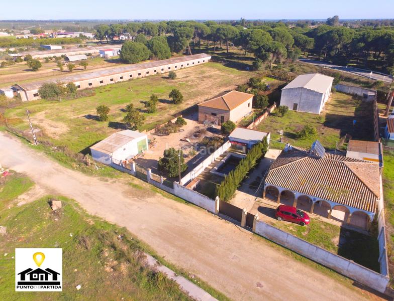 Foto 604df369-39c0-4cf3-98df-7d97c4448641. Country house in camino del rocio 17 in Hinojos