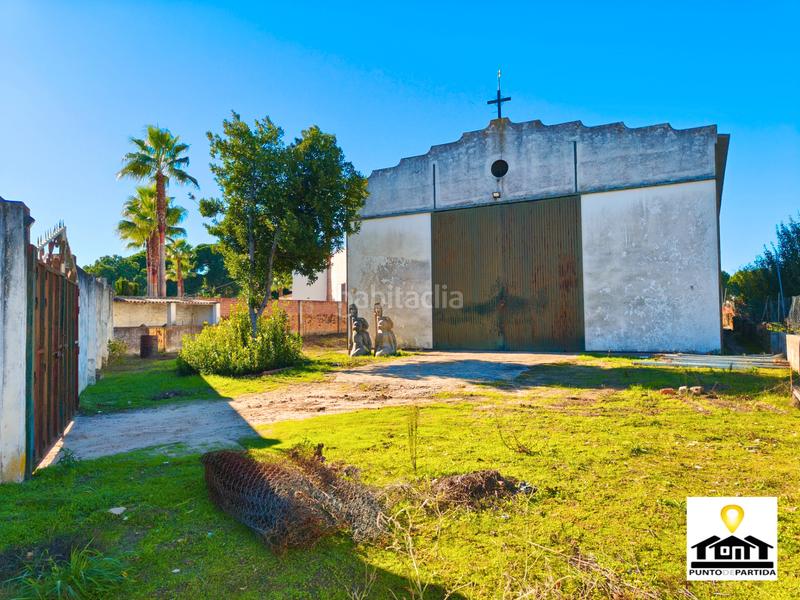 Foto 8aa29edf-6fbb-4d90-b6fc-4c9bb423b691. Country house in camino del rocio 17 in Hinojos