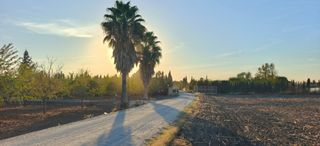Masía en Cabezas de San Juan (Las). Parcela rústica zona gilete
