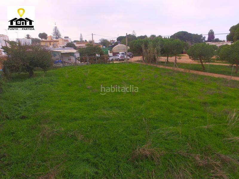 Foto 258e46e0-645b-4736-aabd-1ea662fa5498. Finca rústica a Las Tres Piedras - Costa Ballena Chipiona