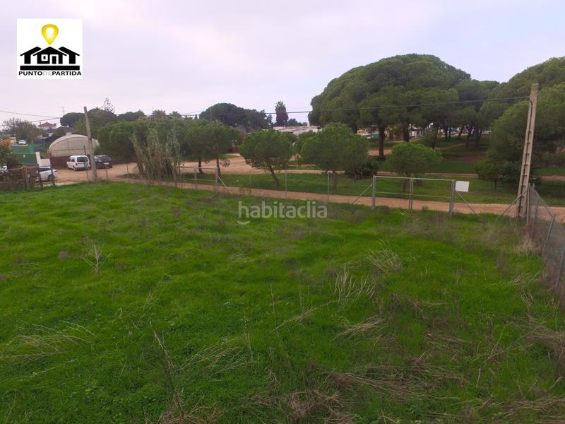 Foto 599393ba-0b55-44d9-a682-6e4a2c9e80a7. Finca rústica a Las Tres Piedras - Costa Ballena Chipiona