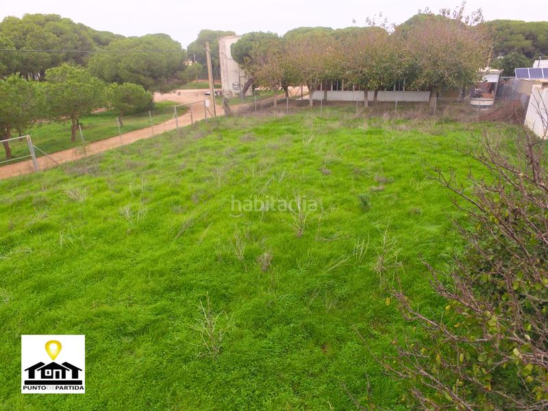 Foto da058109-6c9d-4d5e-9f72-f2b444b87c17. Finca rústica a Las Tres Piedras - Costa Ballena Chipiona