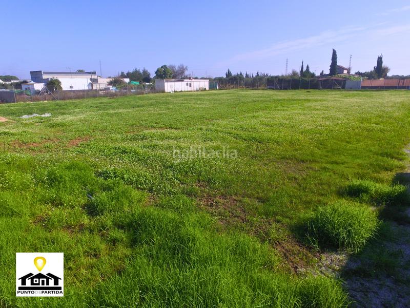 Foto 5f5b4038-053a-4a92-a1b1-ca7dce36187d. Mas avec cheminée chauffage parking piscine dans Torre Cruz - Los Molinos Utrera