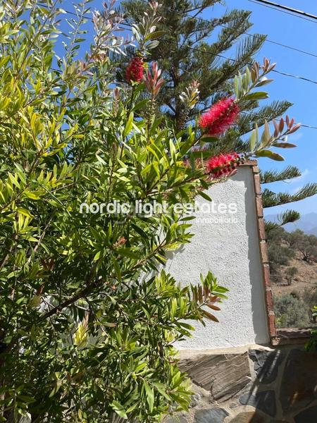 Foto e2e90978-4f3f-4b32-861f-585e02dbb244. Casa en Chaparil - Torrecilla - Punta Lara Nerja