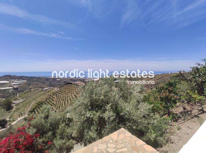 Foto 0dd7d496-a200-4394-9064-9aa05ae3360b. Alquiler casa en Torrox pueblo Torrox