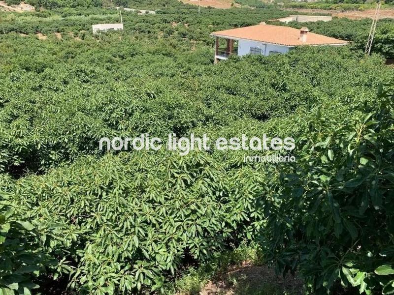 Foto 711b6b33-9757-4670-bc5b-dc2010b3e06b. Casa en Almayate Bajo