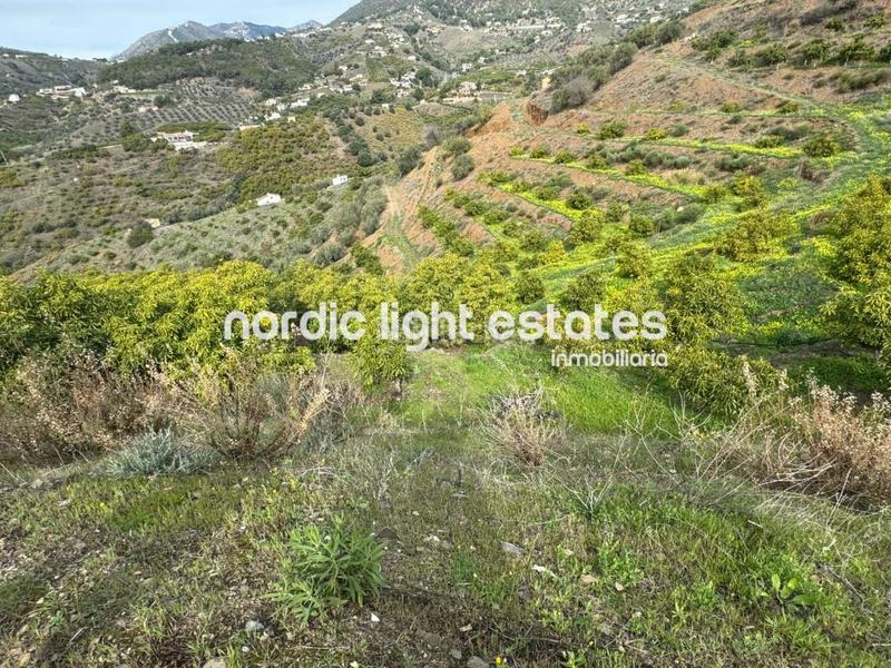 Foto dd9110ca-5b54-4f9b-b7c7-f4d10345ace1. Haus in Frigiliana