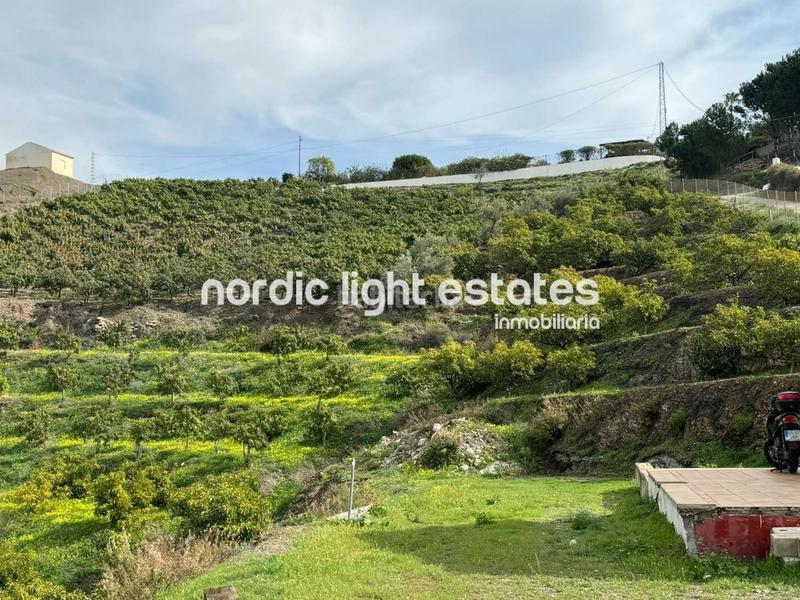 Foto f8ffa4a4-3219-429a-a919-b47e1414f7e1. Haus in Frigiliana