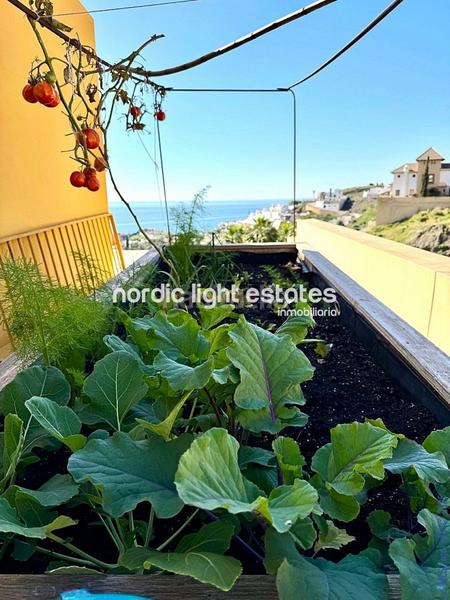 Foto 6f21465b-ae49-4c72-adc7-e8ecdf30ae36. Maison avec parking piscine dans El Peñoncillo Torrox